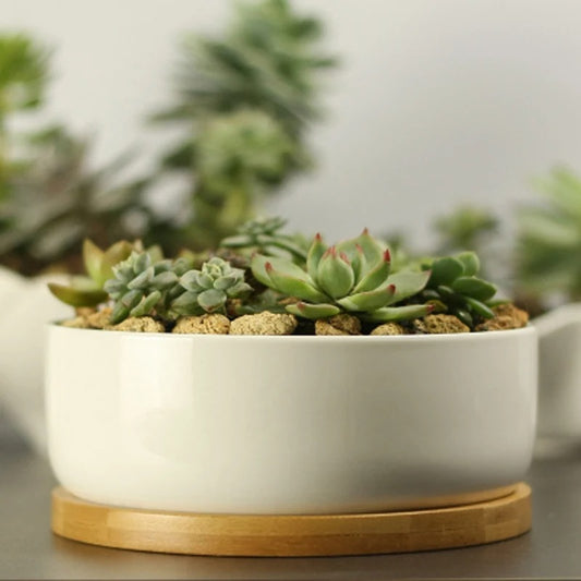 Ceramic Succulent Plant Pot with Bamboo Tray – White Porcelain Flower Pot